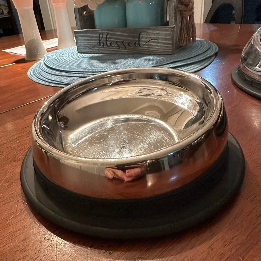 Stainless Steel Angled Pet Bowl with Non-Slip Base